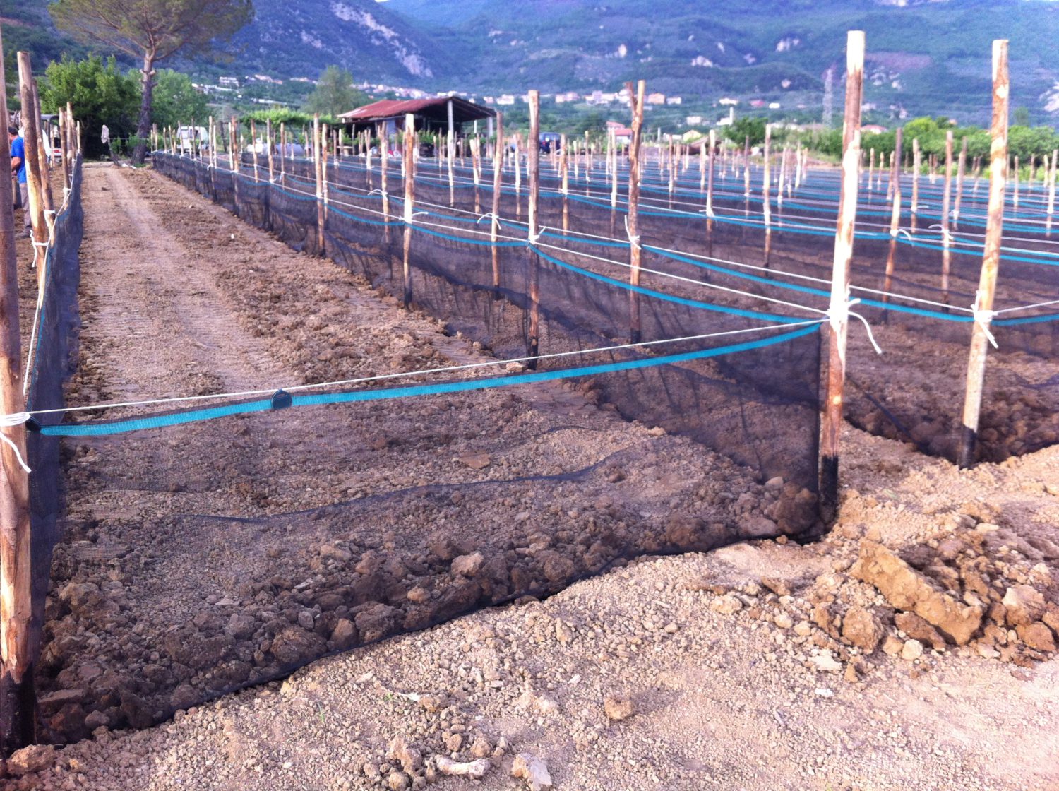 SNAIL FARMING NETS