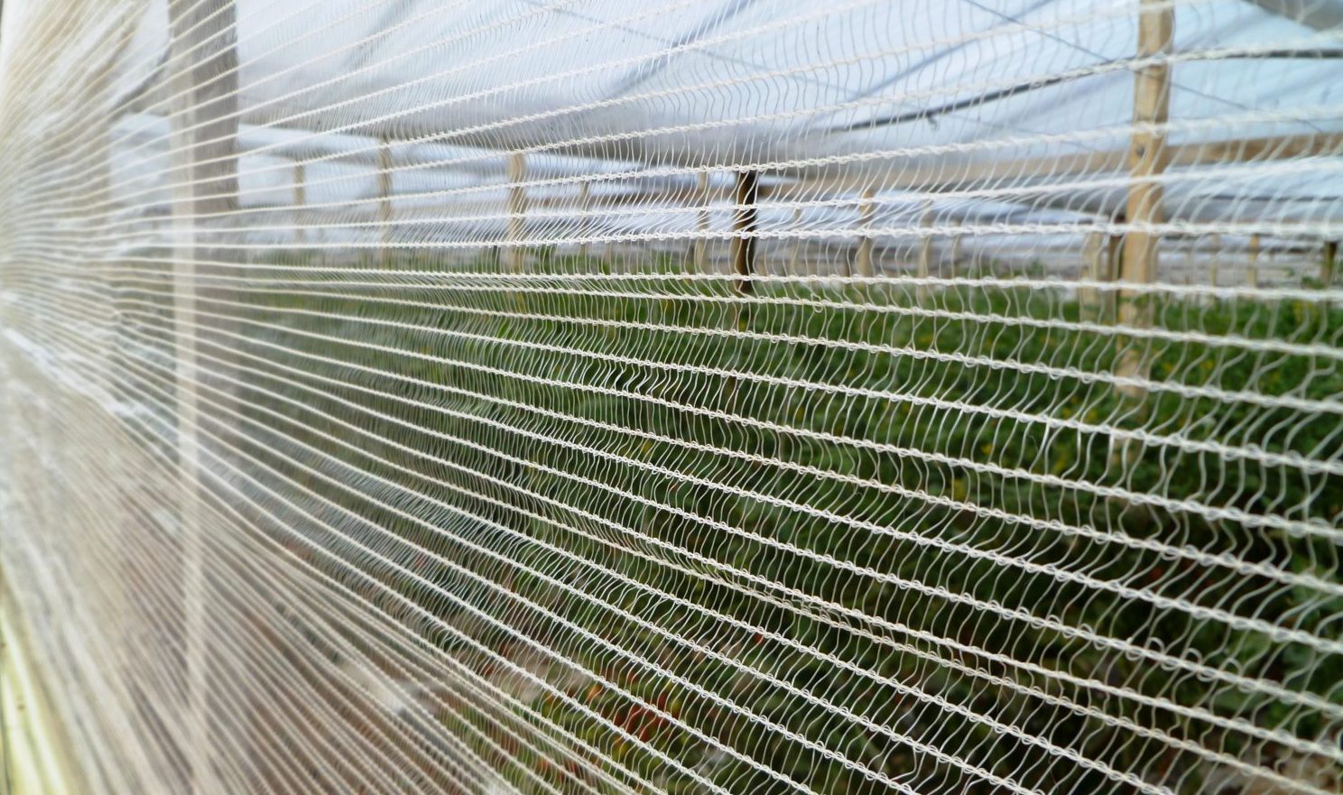 POLLINATION NETS