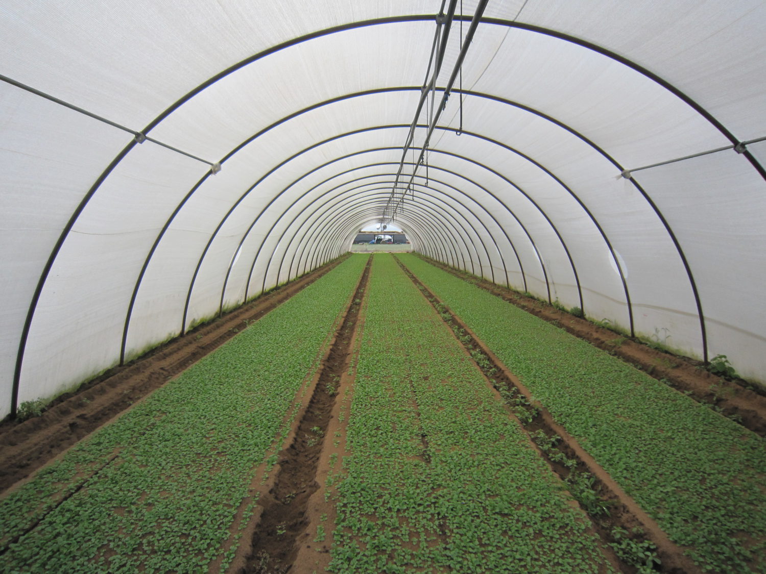 SHADING AND WINDBREAK NETS