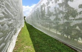 NETS AND FILM FOR THE PROTECTION AGAINST WATER